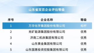 荣誉｜万华化学获评2022年度“双百企业”标杆称号