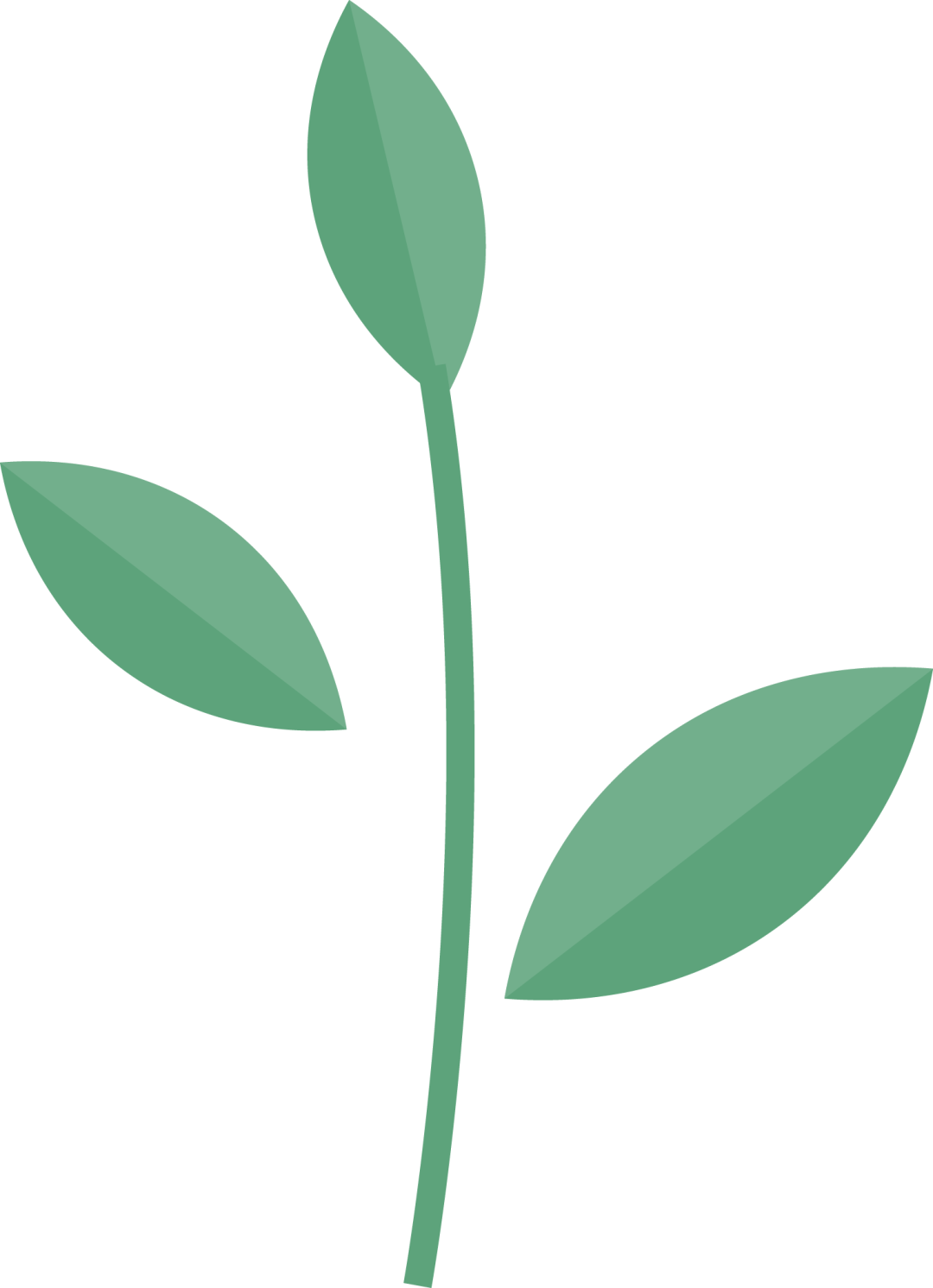 image018