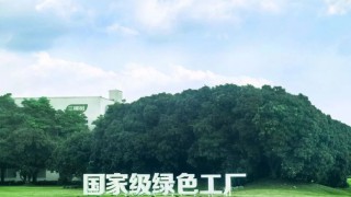 动态｜三棵树跃升AA级！万得ESG评级绽放可持续发展新“漆”彩