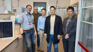 出海｜麦加芯彩设立荷兰子公司，正式启动欧洲技术本地化布局