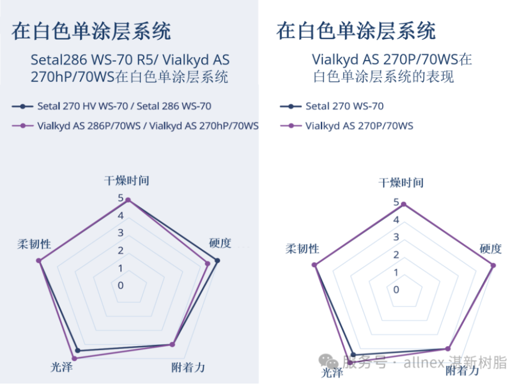 湛新rPET树脂新品发布-2024666