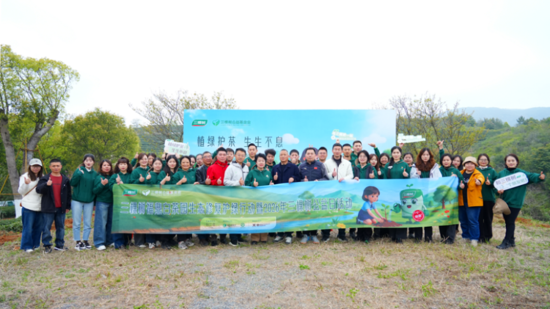 三棵树福鼎白茶园生态修复行动190