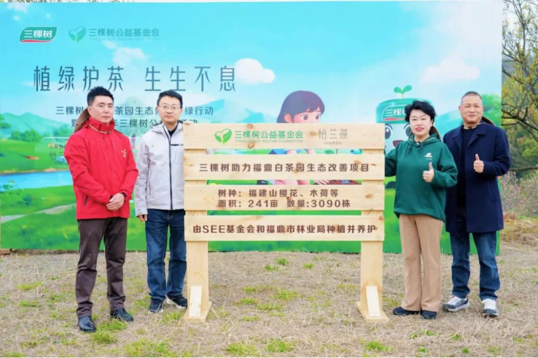 三棵树福鼎白茶园生态修复行动561