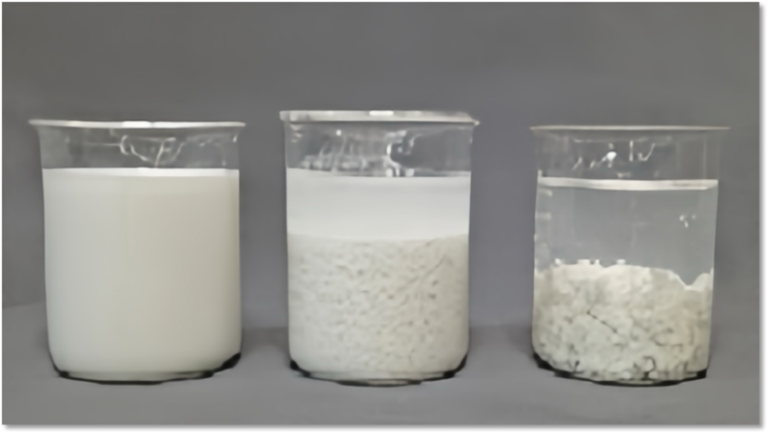 2026涂料大会会议纪要852