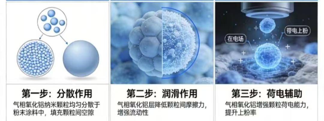 2026涂料大会会议纪要1162