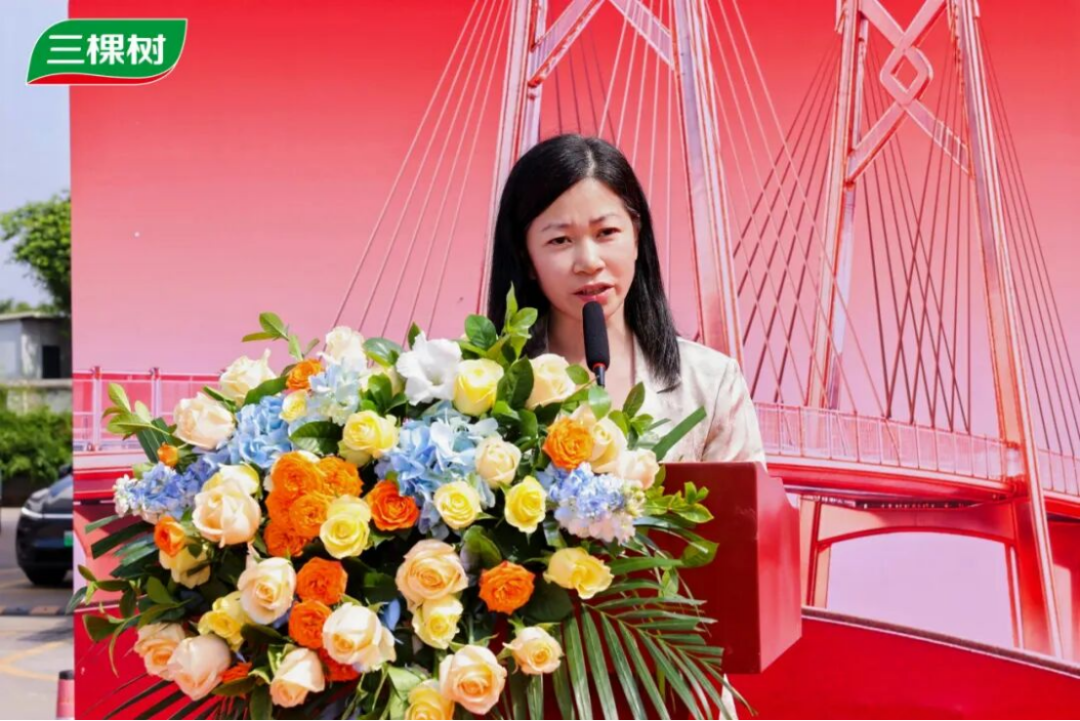 三棵树广东80店同开816