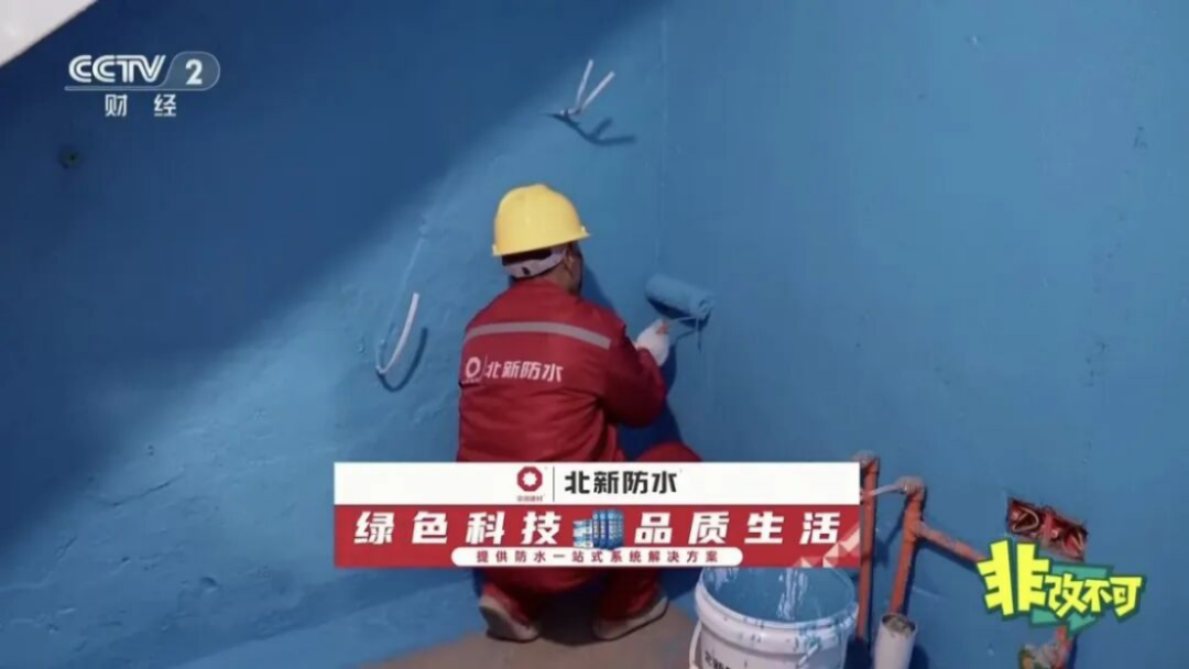 北新雨燕安居优选-央视财经报道1442