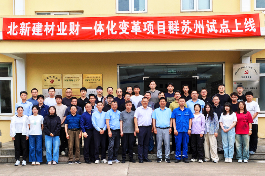 北新建材业财一体化试点上线报告1260