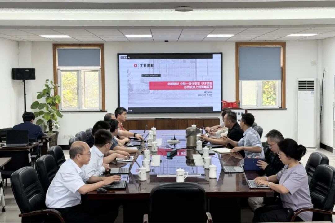 北新建材业财一体化试点上线报告1289