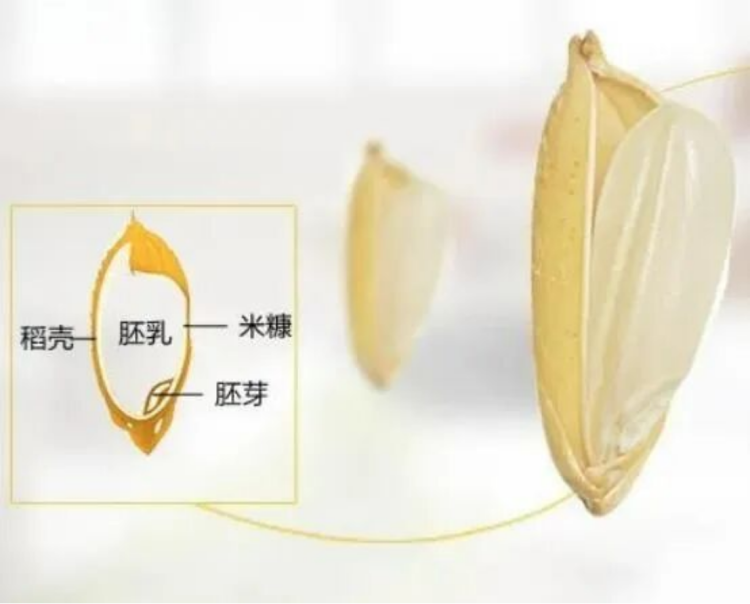 开士达-进化硅战略合作公告1149