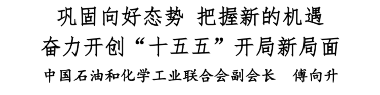2026石油和化工行业经济形势分析会报告114