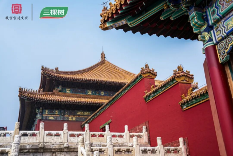 紫禁寻色 共启新章626