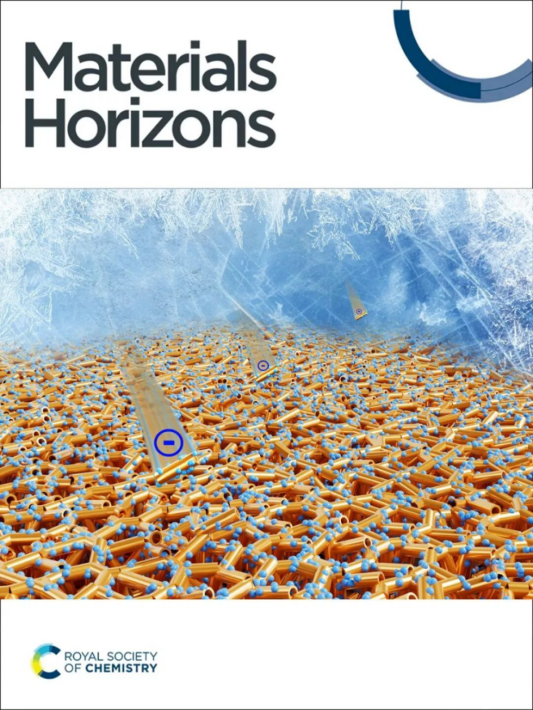浩力森×东南大学合作成果-《Materials Horizons》内封面250