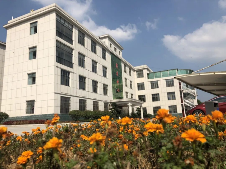 6新建 DOCX 文档447